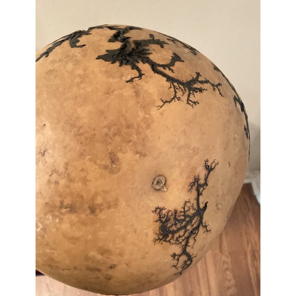 Fractal Gourd Burned Art‎ Large Lightning Pattern Lichtenberg Spooky - Picture 6 of 6